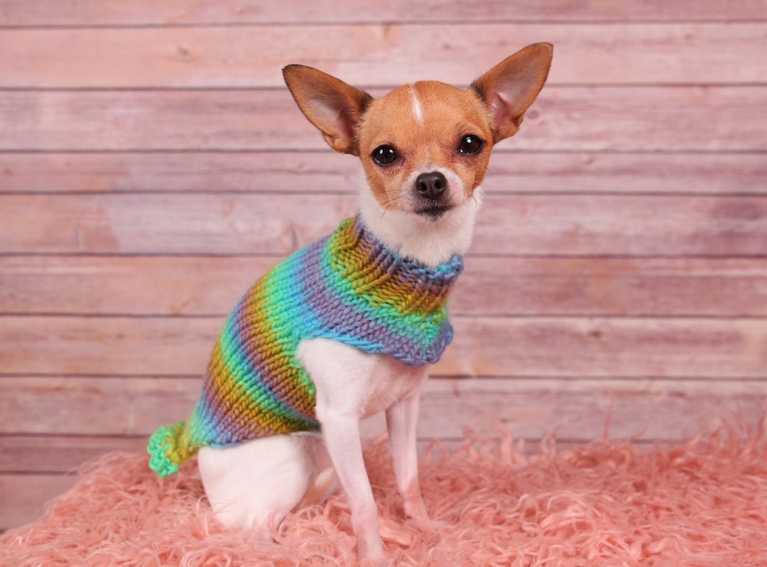 Teeny Tiny Collection Chihuahua Sweater Chihuahua Clothes Hand Knitted