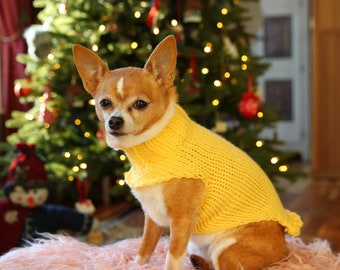 Teeny Tiny Collection * Chihuahua sweater * Chihuahua clothes * Hand knitted chihuahua sweater * Chihuahua gift * small dog sweater