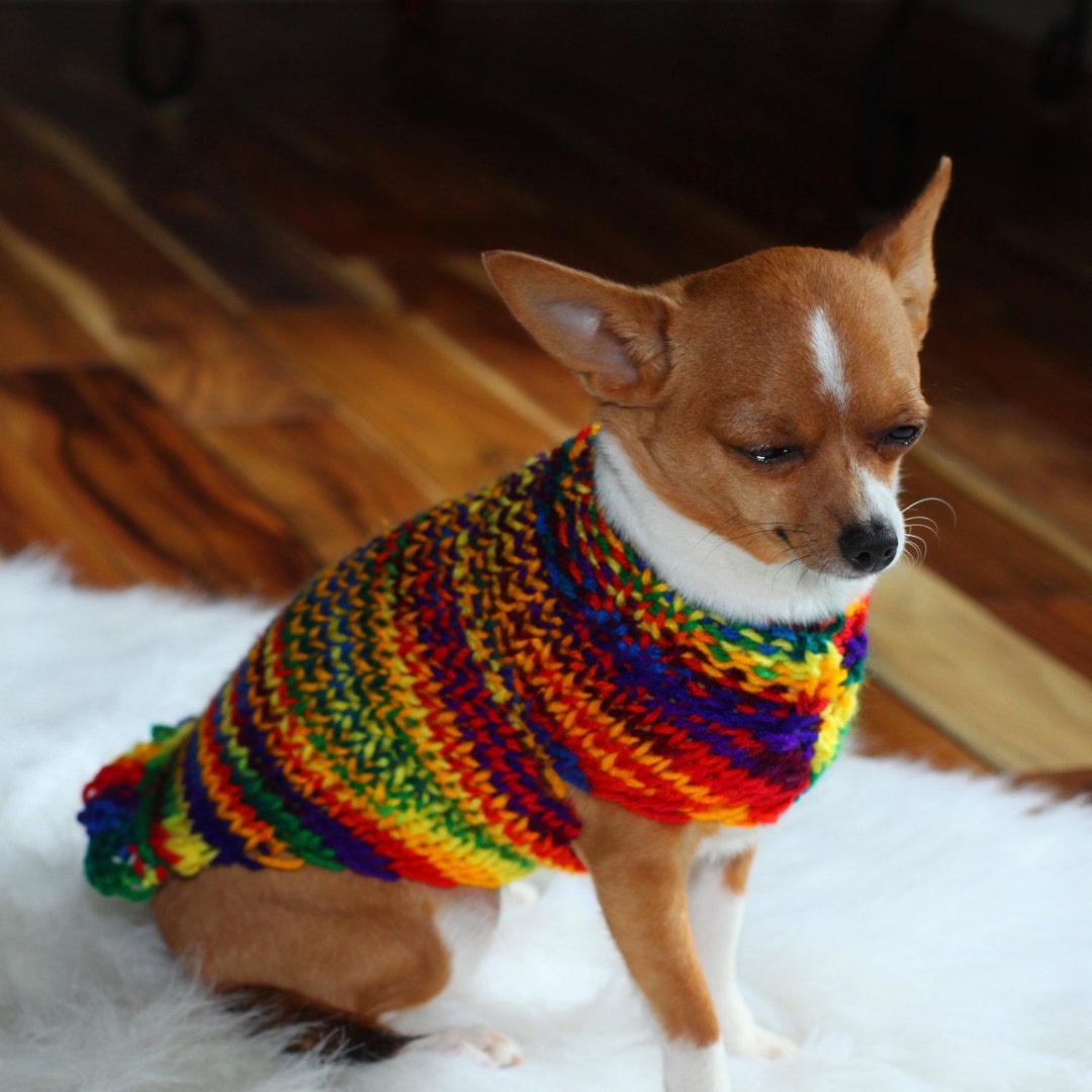 Teeny Tiny Collection Chihuahua Sweater Chihuahua Clothes Hand  Knitted Chihuahua Sweater Chihuahua Gift Small Dog Sweater