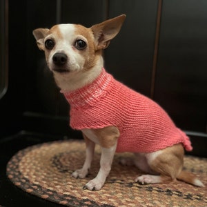 Etsy chihuahua clothes deals