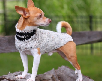 May include: A small, brown and white chihuahua wearing a white and black knitted sweater, standing on a pile of wood logs. The dog is looking to the right of the frame.
