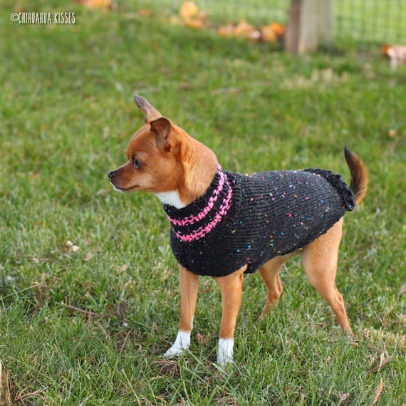 Pretty Girl Collection Chihuahua Sweater Chihuahua Clothing