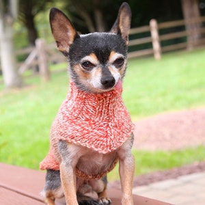 Chihuahua sweater * Small dog sweater * Dog sweater * Chihuahua clothing  * Chihuahua gift * Clothes for chihuahua * Hand knit dog sweater