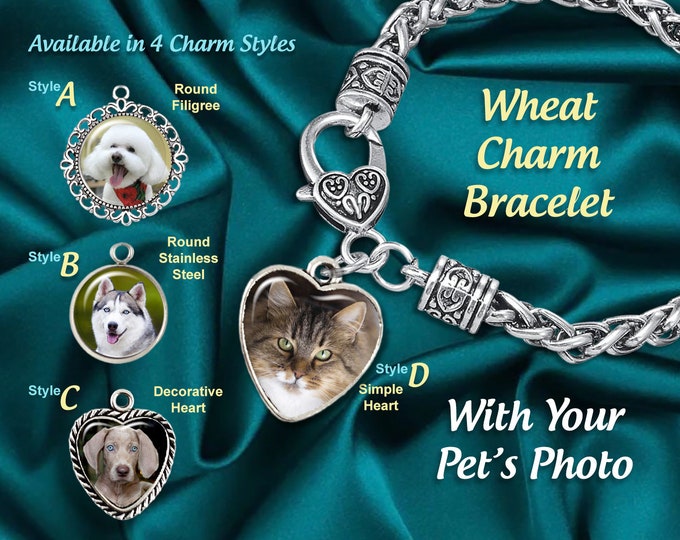 Cat or Dog Pet Lovers Photo Charm Bracelet Includes 2 Mini Charms on Wheat Cable Twisted Bracelet, Memorial Jewelry
