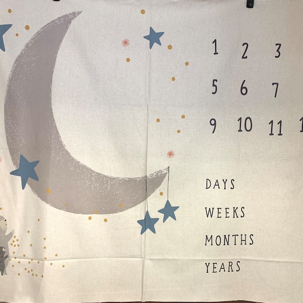 Monthly Milestone Panel | D is for Dream | by Paper and Cloth