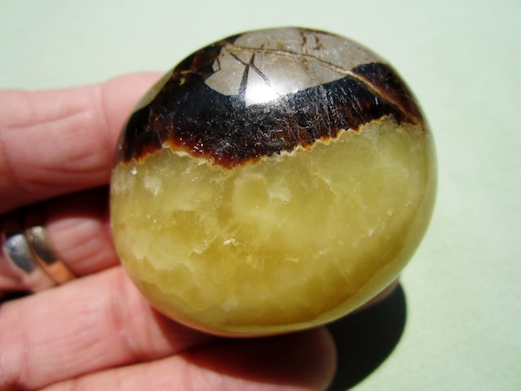 SEPTARIAN Polished Palm Stone Touch Worry Madagascar 74g / 2" in.