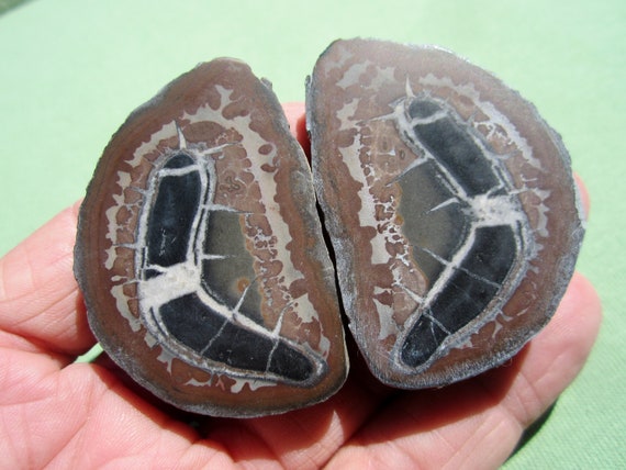 SEPTARIAN Nodule Polished Pair Geode Halves Morocco 63g