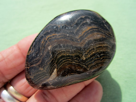 STROMATOLITE Polished Palm Stone Touch Worry Peru 57g