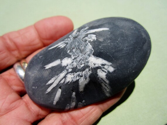 CHRYSANTHEMUM Palm Stone Touch Worry China 98g / 2 3/4" inch