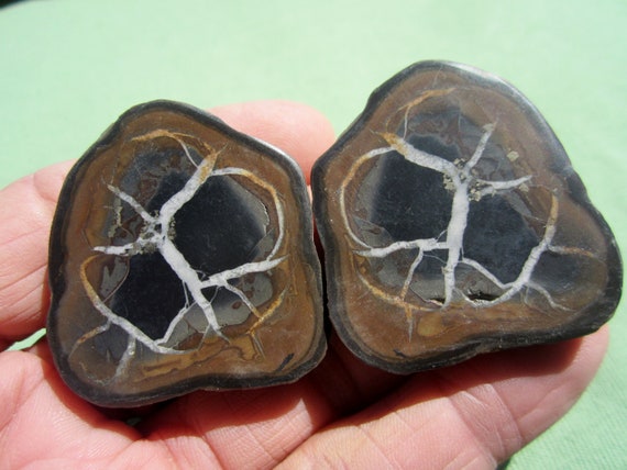 SEPTARIAN Nodule Polished Pair Geode Halves Morocco 51g