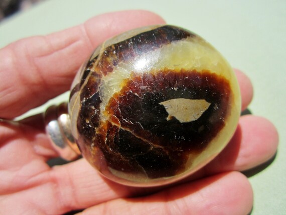 SEPTARIAN Polished Palm Stone Touch Worry Madagascar 74g / 2" in.
