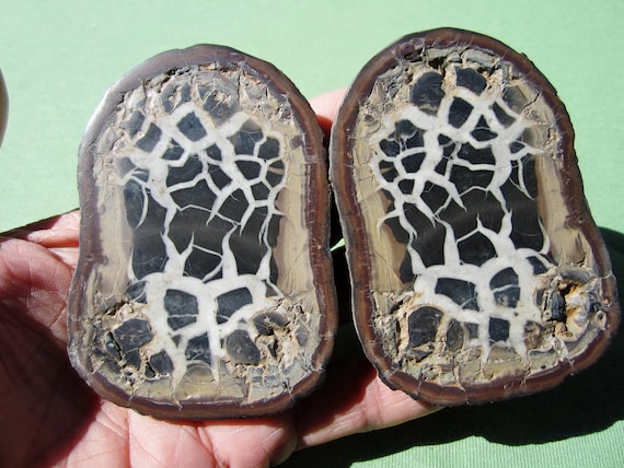 SEPTARIAN Nodule Polished Pair Geode Halves Morocco 290g