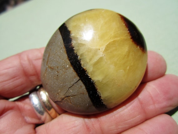 SEPTARIAN Polished Palm Stone Touch Worry Madagascar 68g / 2" in.