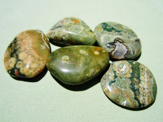 RAINFOREST JASPER Tumbled Polished Lot of (5) 52g