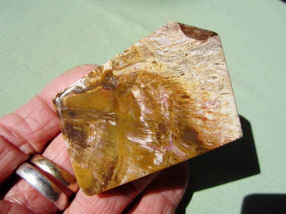 PETRIFIED WOOD Slab Polished Madagascar 58g