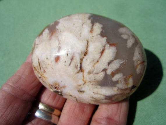 FLOWER AGATE Polished Palm Stone Touch Worry Madagascar 124g / 2 1/2" inch