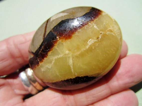 SEPTARIAN Polished Palm Stone Touch Worry Madagascar 70g / 2" in.