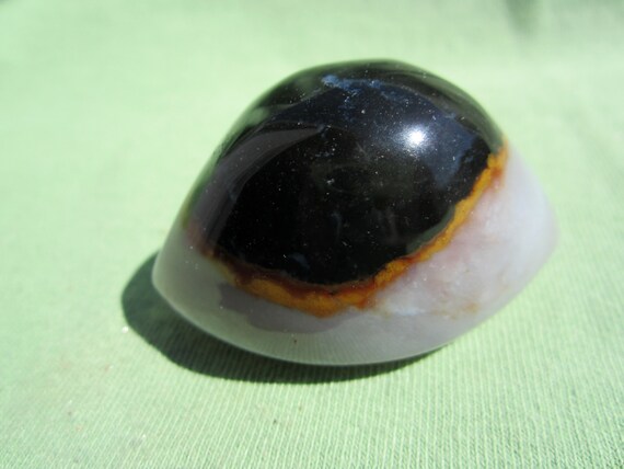 SHIVA EYE  Polished AGATE India 71g