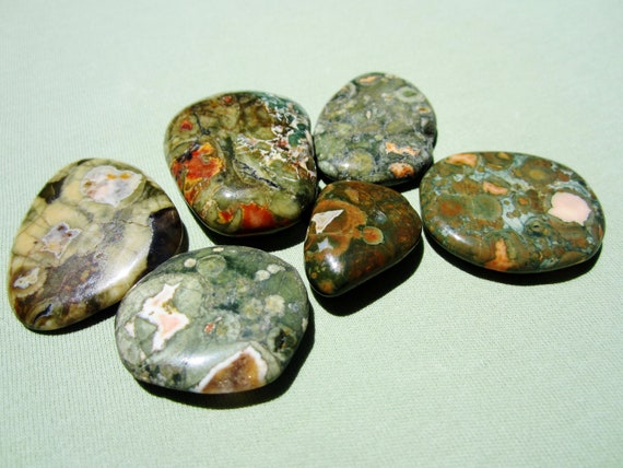 RAINFOREST JASPER Tumbled Polished Lot of (6) 61g