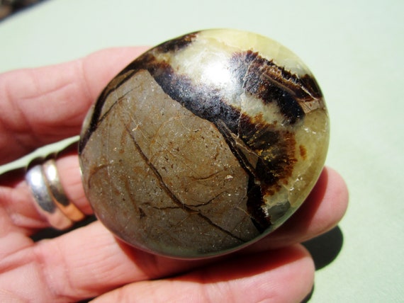 SEPTARIAN Polished Palm Stone Touch Worry Madagascar 64g / 2" in.