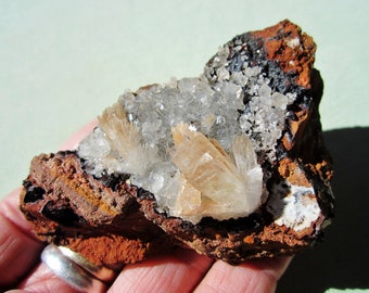 HEMIMORPHITE Mixed Minerals Mina La Ojuela Mexico 147g