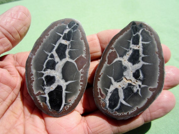 SEPTARIAN Nodule Polished Pair Geode Halves Morocco 96g