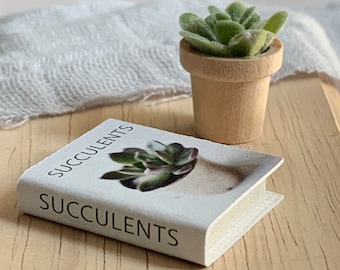 Dollhouse Plant and Book Set