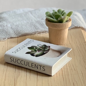 Dollhouse Succulent and Book, Miniature Plant