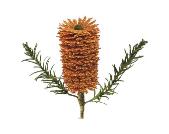 OOAK Textile Flower, Banksia