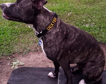 Large Collar Personalized ID Embroidered with name and number Aussie webbing