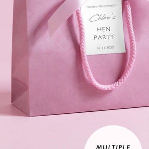 May include: A pink gift bag with a matching pink ribbon and a tag that reads "Thanks for coming to Chloe's Hen Party 07.11.2025." The bag has a braided pink handle. The image also shows text that says "Multiple Colours Available" and "Multiple Sizes Available."