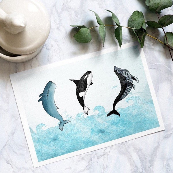 Hand Drawn Whales Greeting Card with Envelope, Blue Whale Birthday Card, Sea Birthday Cards, Coastal Cards, Animal Cards