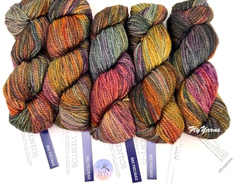 May include: Five skeins of thick, multi-colored yarn in shades of orange, purple, green, and brown. Each skein has a white paper label attached with the text Malabrigo, Vientos, and 862 Piedras printed in black ink.