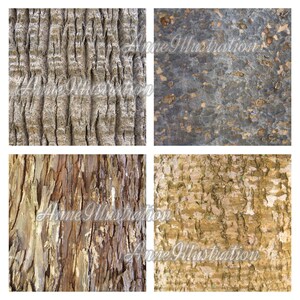 Carta digitale Texture corteccia d'albero (non senza soluzione di continuità)Sfondi, texture, carta per album, stampa, arte, natura, legno, download istantaneo Illustration_T4 immagine 3