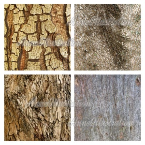 Carta digitale Texture corteccia d'albero (non senza soluzione di continuità)Sfondi, texture, carta per album, stampa, arte, natura, legno, download istantaneo Illustration_T4 immagine 2
