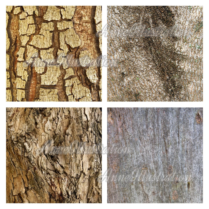 Carta digitale Texture corteccia d'albero (non senza soluzione di continuità)Sfondi, texture, carta per album, stampa, arte, natura, legno, download istantaneo Illustration_T4 immagine 2