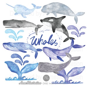 Wale Clipart,Meerestiere,Ocean,Orca,Sea life Clipart,Wale Grafik,digital,PNG,Instant download Illustration_ CA92