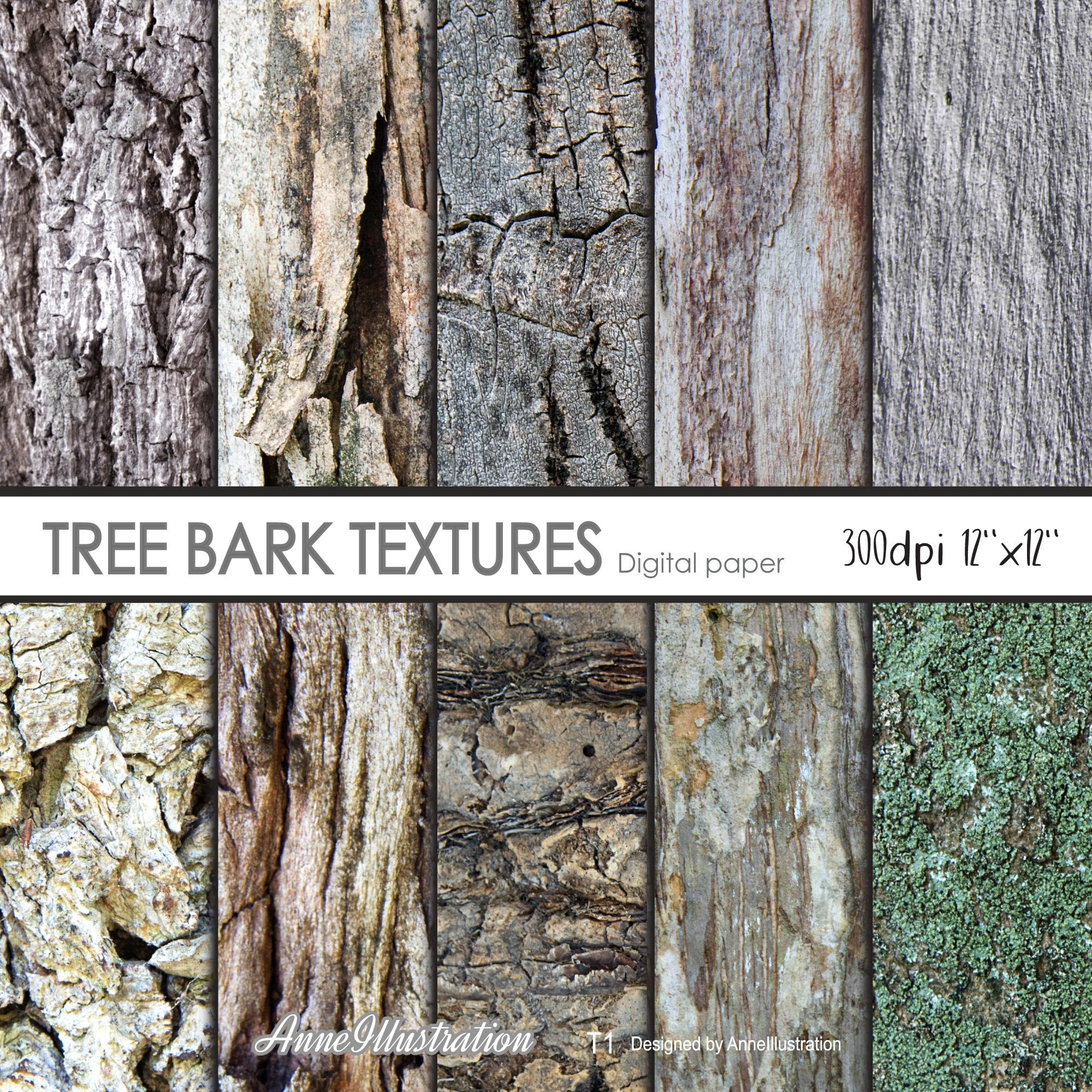Different Types Of Tree Bark