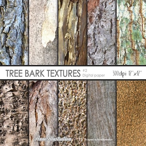 Puede incluir: Un conjunto de papel digital con diversas texturas de corteza de árbol. La imagen muestra una colección de patrones de corteza variados, incluyendo superficies rugosas, lisas y texturizadas. Cada textura mide aproximadamente 30.5 cm x 30.5 cm a 300 ppp.