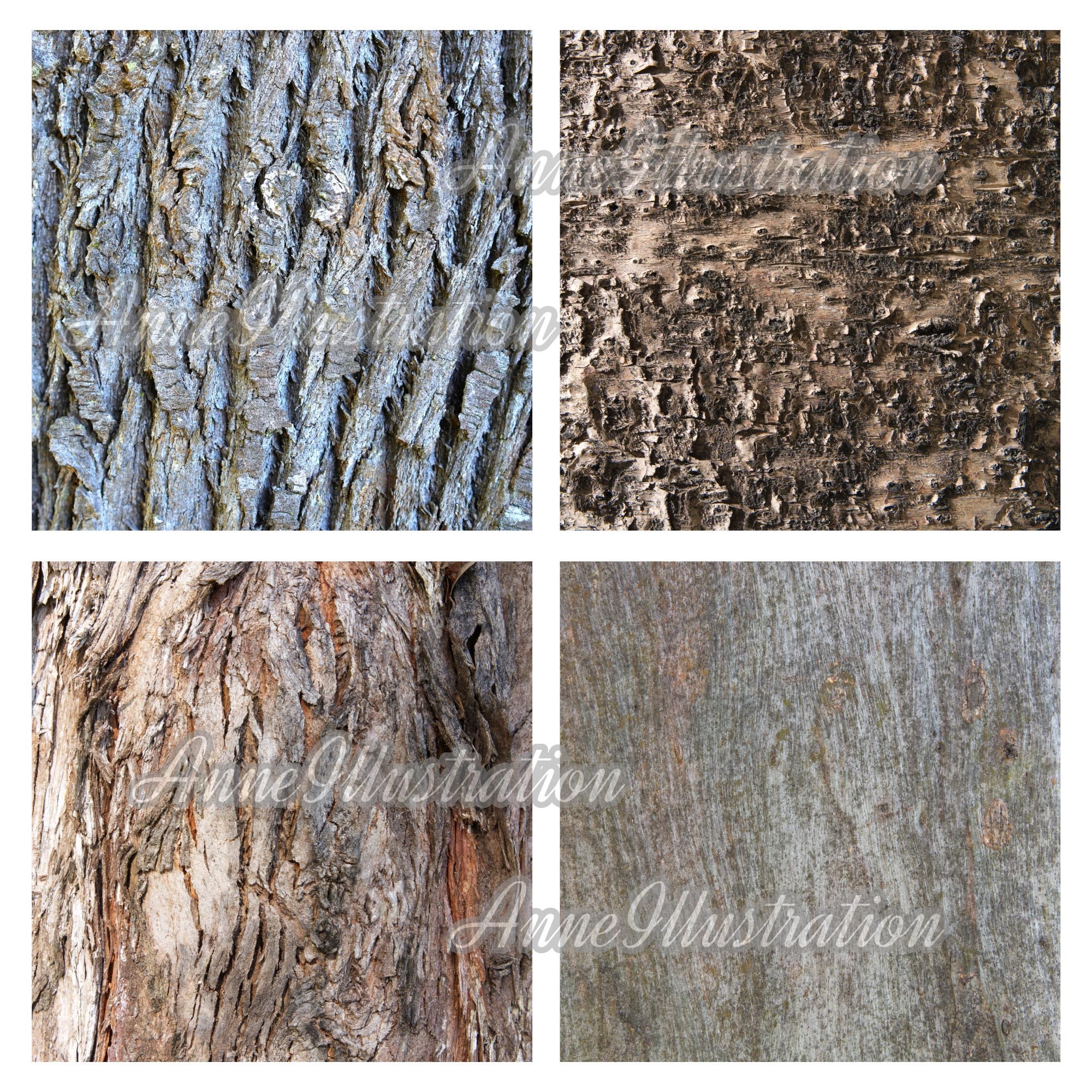 Bark Texture Printable Tree Bark Texture Digital Paper(not in Seamless)backgrounds,textures ...