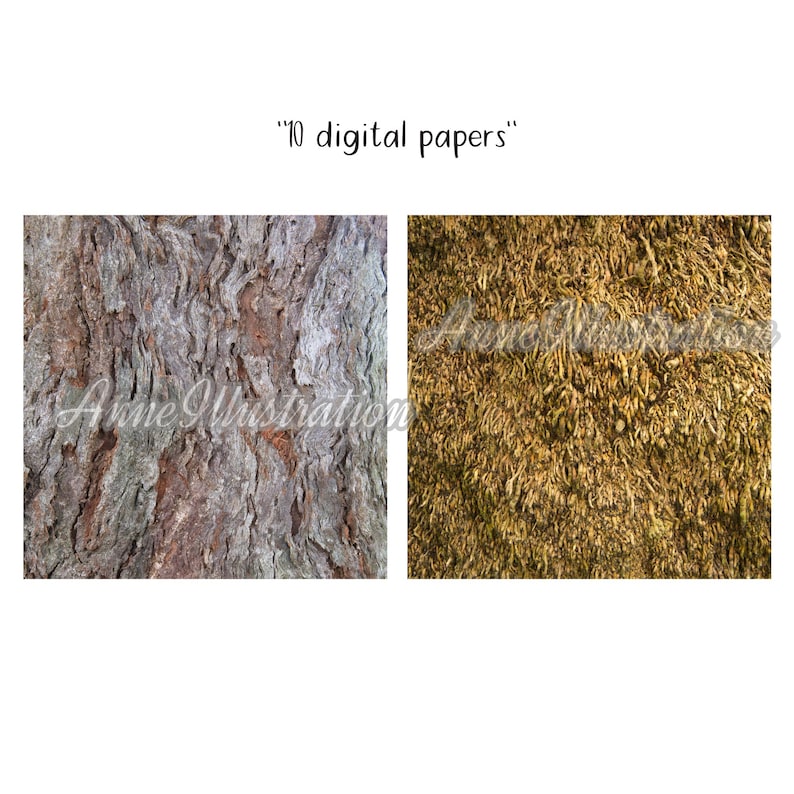 Carta digitale Texture corteccia d'albero (non senza soluzione di continuità)Sfondi, texture, carta per album, stampa, arte, natura, legno, download istantaneo Illustration_T4 immagine 4