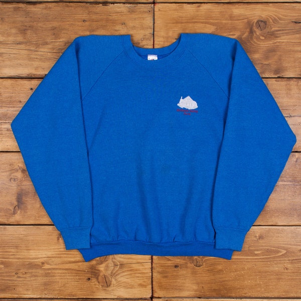 vintage Fruit Of The Loom Graphic Sweatshirt XL 90s USA Made Raglan Blue