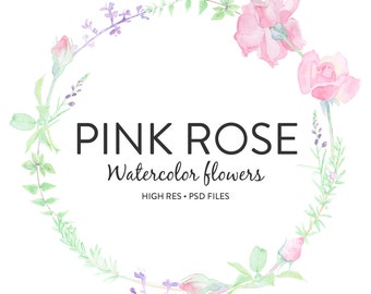 Watercolor Flowers - Hand painted Pink Rose Watercolor Flower Clipart