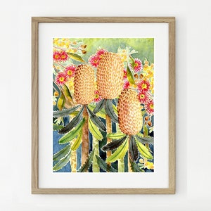 Banksias Modern Australian Native Art Print, Blue Green Aussie Flowers Painting, Watercolor Decor Wall Art, Banksia Australian Flora, Nature