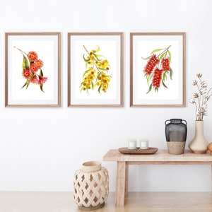 Set of 3 Australian Flora Art Prints, Wattle Bottlebrush Red gum blossom, Gumleaves wall art, Red Yellow Native Flower watercolour paintings