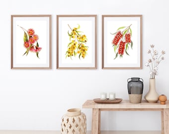 Set of 3 Australian Flora Art Prints, Wattle Bottlebrush Red gum blossom, Gumleaves wall art, Red Yellow Native Flower watercolour paintings