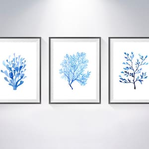 Puede incluir: Tres impresiones enmarcadas en acuarela con dise&ntilde;os de coral y plantas azules. Cada impresi&oacute;n tiene un fondo blanco y un marco negro. Las ilustraciones de coral y plantas var&iacute;an en forma y tono de azul, creando un conjunto cohesivo para la decoraci&oacute;n de paredes.