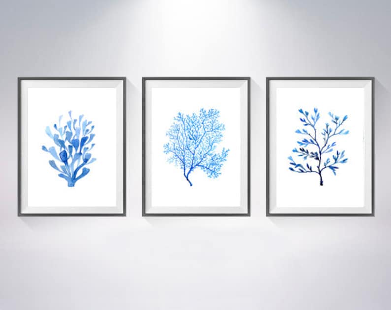 Puede incluir: Tres impresiones enmarcadas en acuarela con dise&ntilde;os de coral y plantas azules. Cada impresi&oacute;n tiene un fondo blanco y un marco negro. Las ilustraciones de coral y plantas var&iacute;an en forma y tono de azul, creando un conjunto cohesivo para la decoraci&oacute;n de paredes.