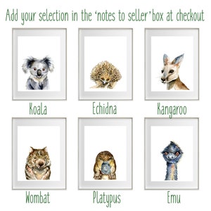 May include: A set of six watercolor illustrations of Australian animals, including a koala, echidna, kangaroo, wombat, platypus, and emu. Each animal is depicted in a white frame with a black border.