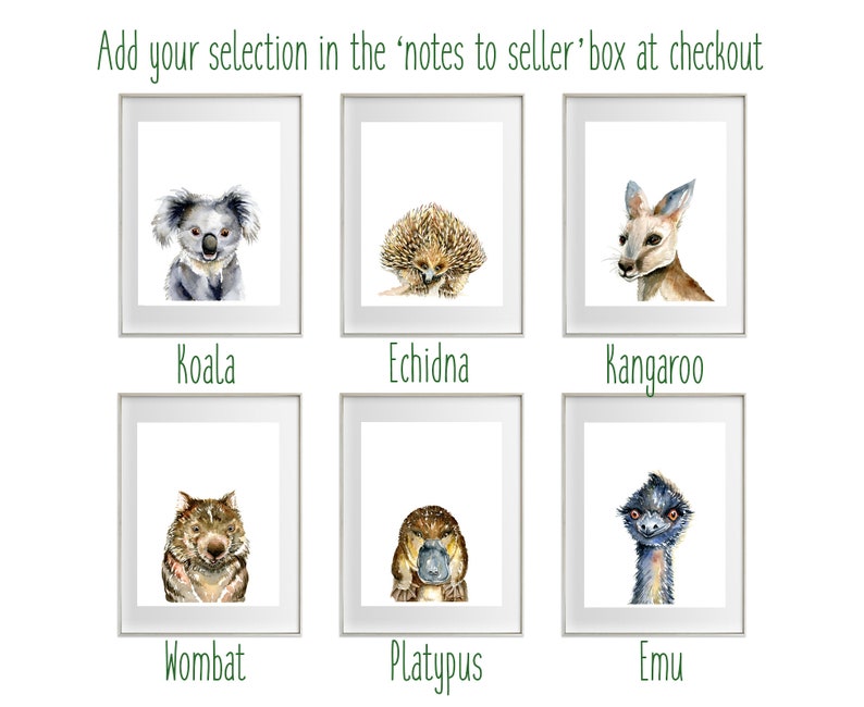 May include: A set of six watercolor illustrations of Australian animals, including a koala, echidna, kangaroo, wombat, platypus, and emu. Each animal is depicted in a white frame with a black border.